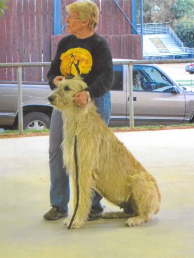 Animal Care Center - Mariposa, CA