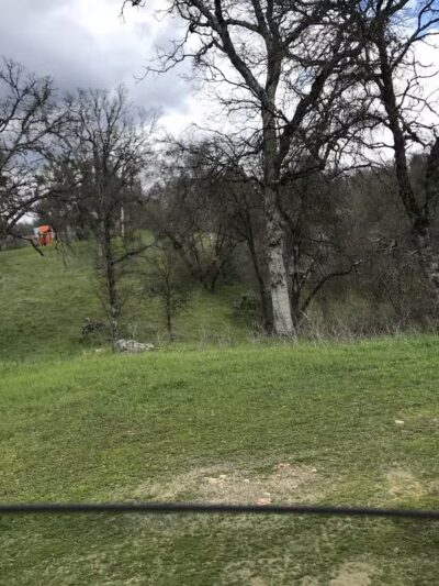 Animal Care Center - Mariposa, CA