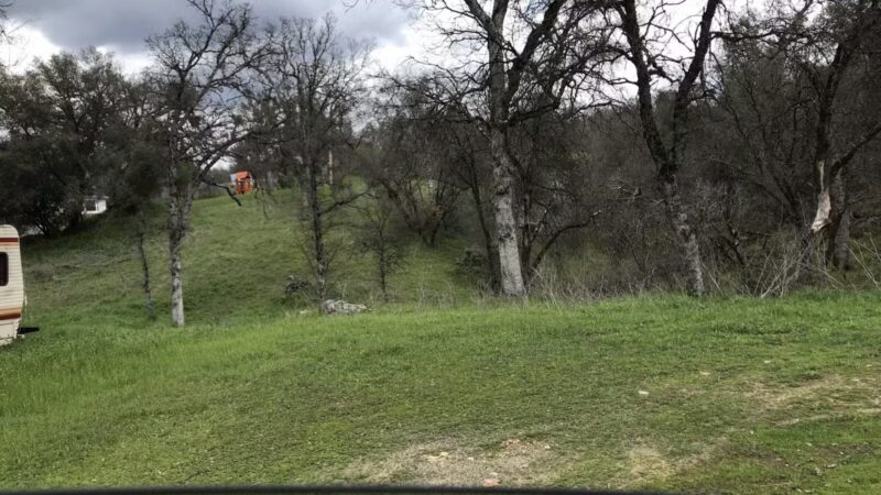 Animal Care Center - Mariposa, CA