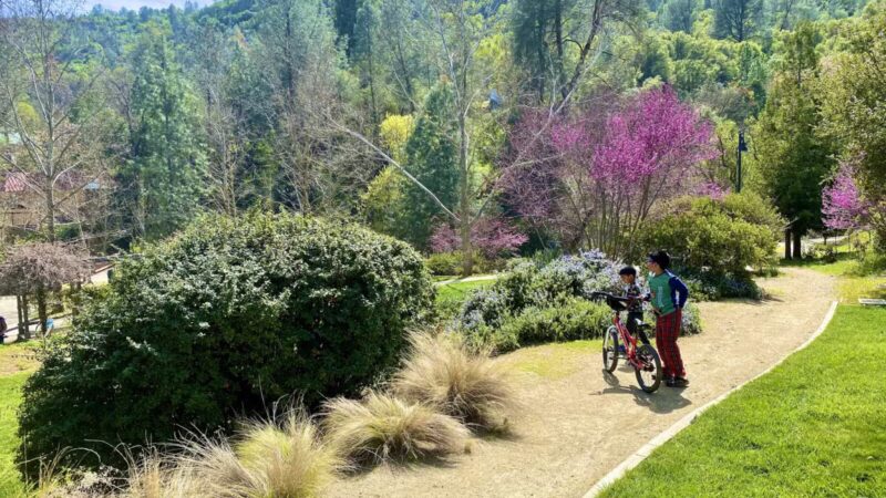 Mariposa County Arts Park - Mariposa, CA