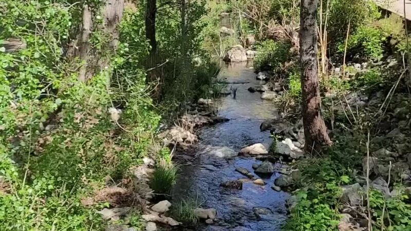 Mariposa Park California Mariposa - Mariposa, CA