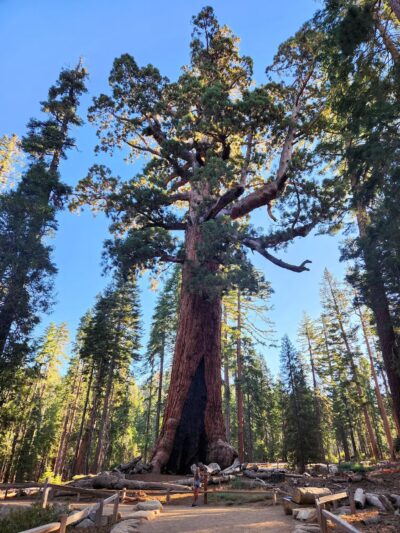 Mariposa Park California Mariposa - Mariposa, CA