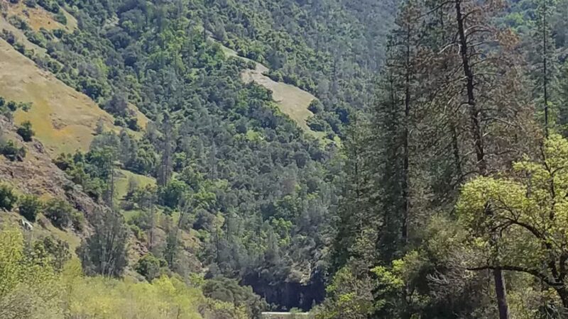 Merced River Trail - Mariposa, CA