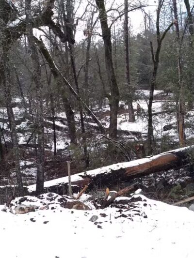 Midpines Park - Mariposa, CA