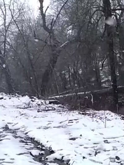 Midpines Park - Mariposa, CA