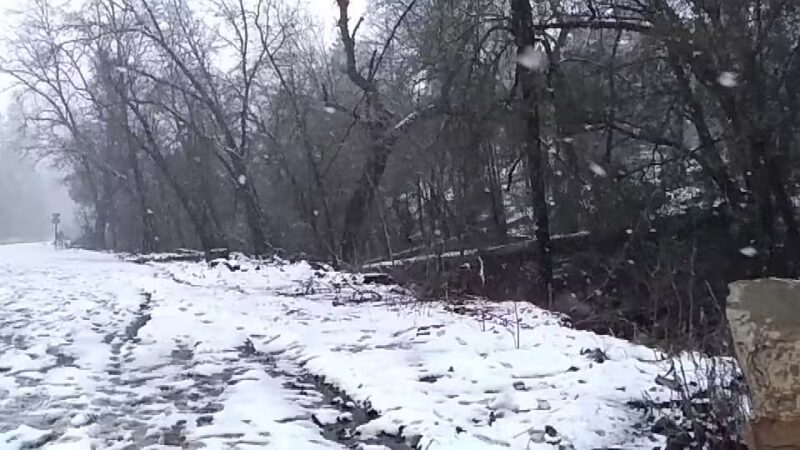 Midpines Park - Mariposa, CA