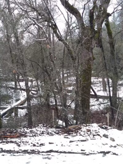 Midpines Park - Mariposa, CA