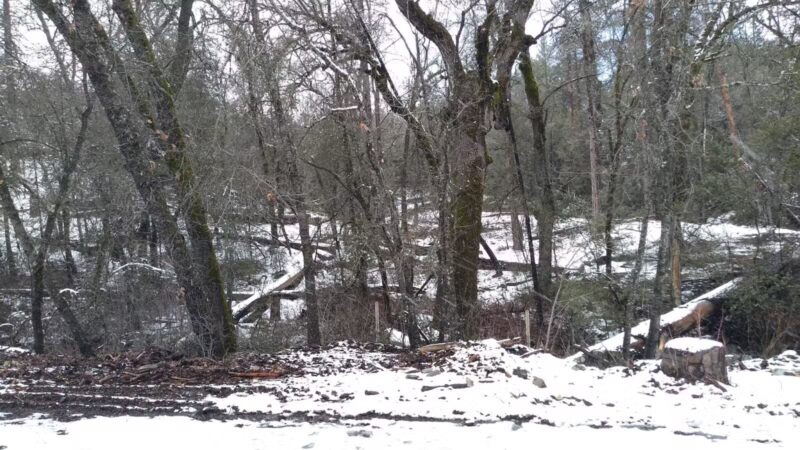 Midpines Park - Mariposa, CA