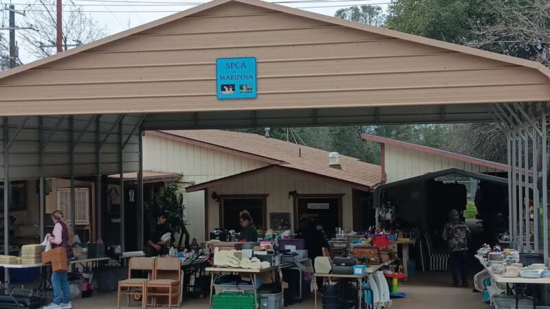 SPCA of Mariposa County - Mariposa, CA