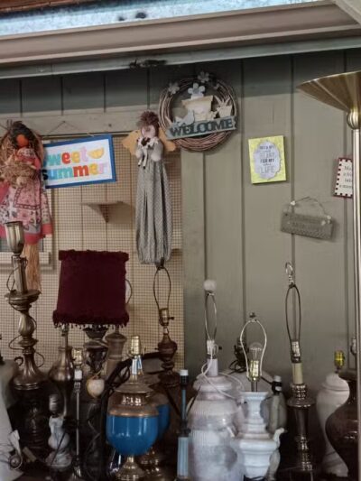 SPCA of Mariposa County - Mariposa, CA