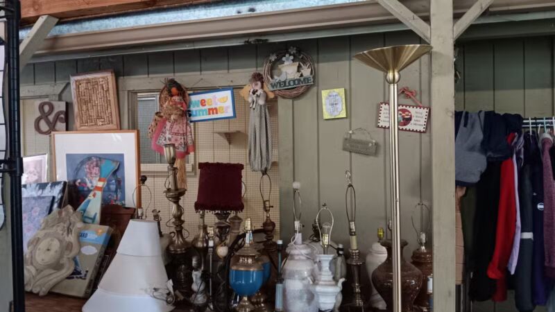 SPCA of Mariposa County - Mariposa, CA