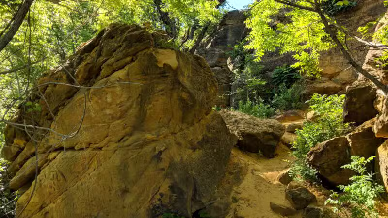 Buffalo Track Canyon Nature Trail Head - Marquette, KS