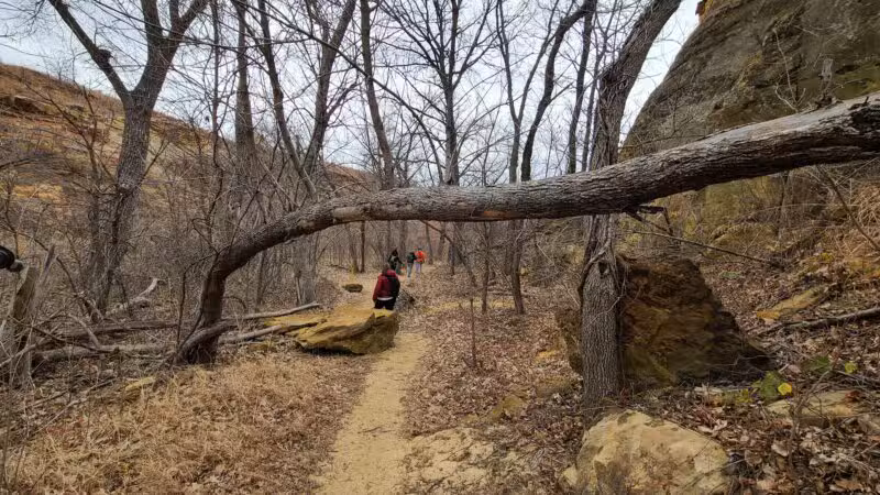 Buffalo Track Canyon Nature Trail Head - Marquette, KS