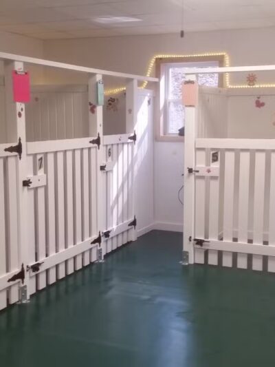 Vicki's Pet Boarding LLC - Marshall, IN