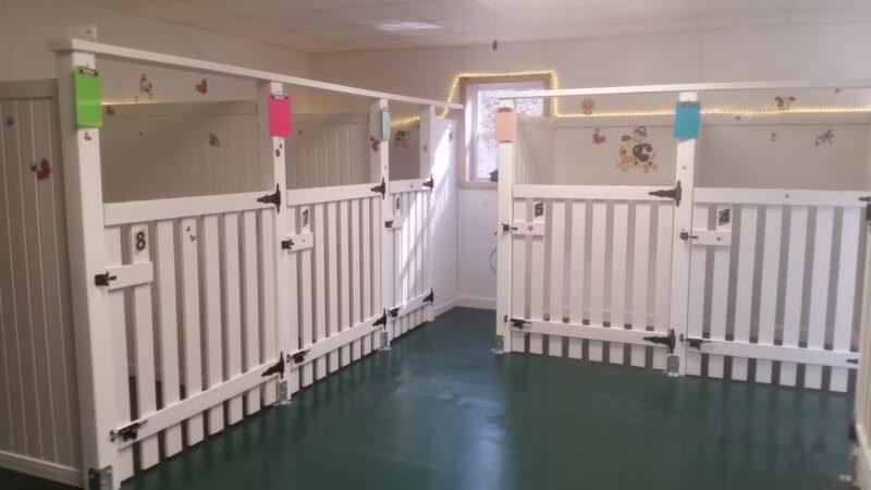 Vicki's Pet Boarding LLC - Marshall, IN