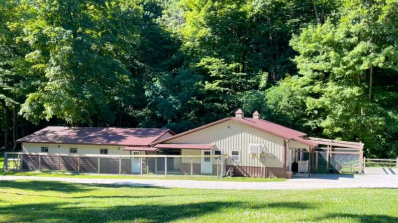 Vicki's Pet Boarding LLC - Marshall, IN