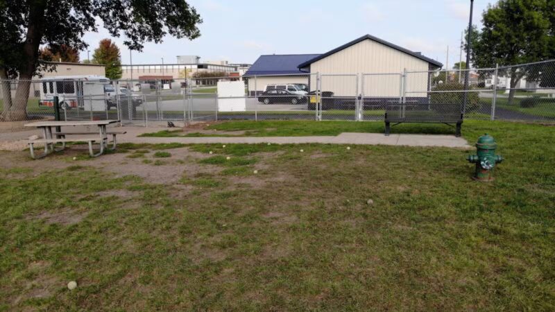 Loyalty Dog Park - Marshall, MN