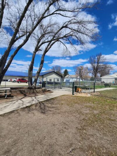 Loyalty Dog Park - Marshall, MN
