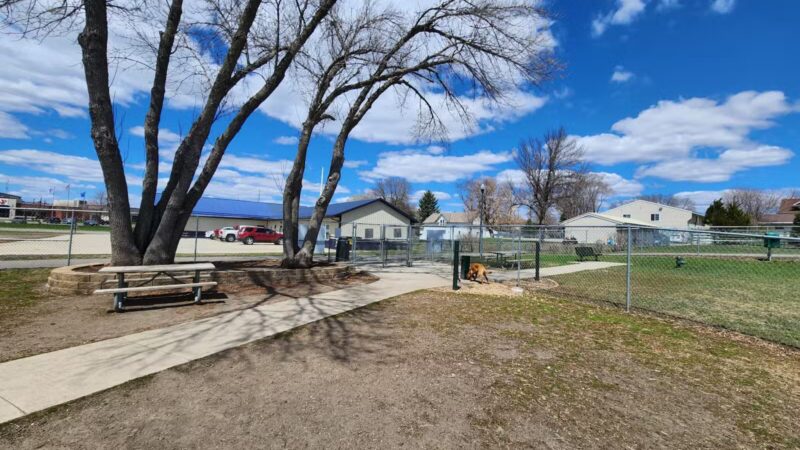 Loyalty Dog Park - Marshall, MN