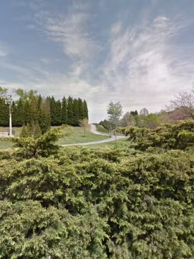 Maryville Walking Park Dogs - Maryville, TN