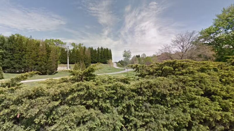 Maryville Walking Park Dogs - Maryville, TN