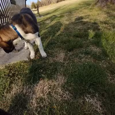 Mascot Park - Mascot, TN