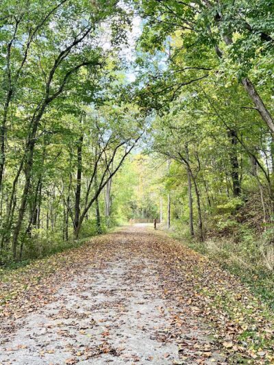 Browns Run Rail to Trails - Masontown, PA