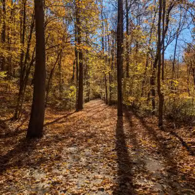Browns Run Rail to Trails - Masontown, PA