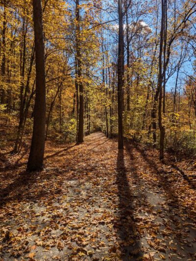Browns Run Rail to Trails - Masontown, PA