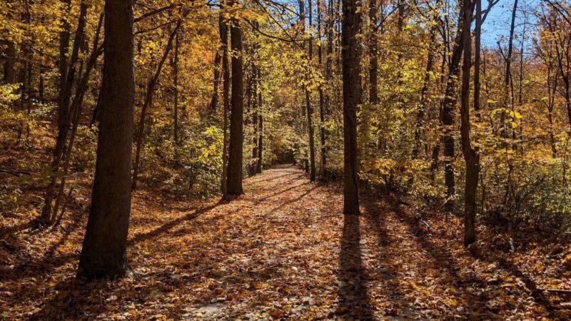 Browns Run Rail to Trails - Masontown, PA