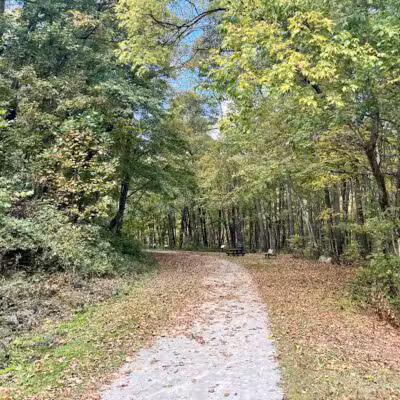 Browns Run Rail to Trails - Masontown, PA