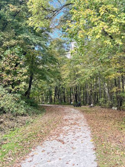 Browns Run Rail to Trails - Masontown, PA