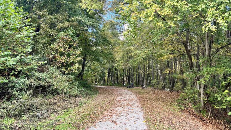 Browns Run Rail to Trails - Masontown, PA
