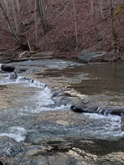 Browns Run Rail to Trails - Masontown, PA