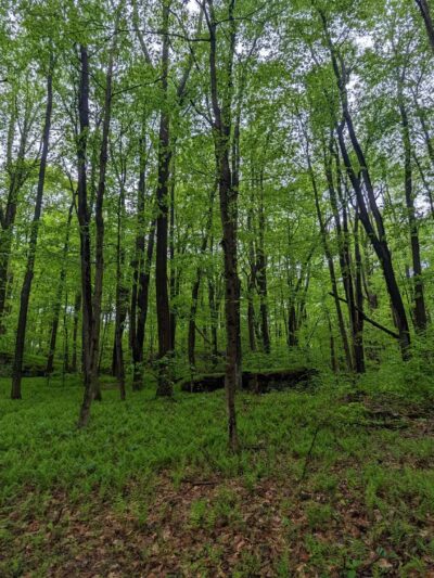 Raven Rock Trailhead - Masontown, WV