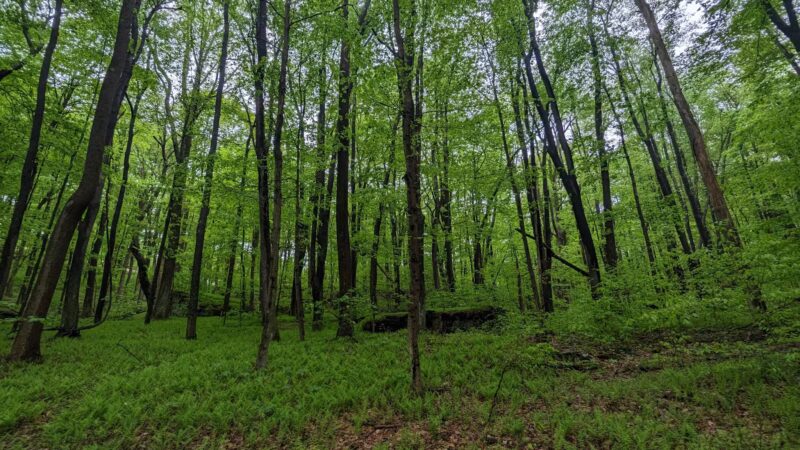 Raven Rock Trailhead - Masontown, WV