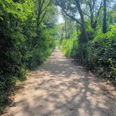 Dog Trail - Massapequa, NY