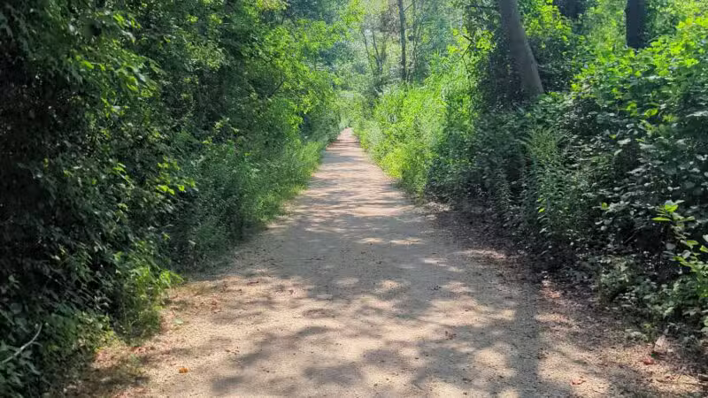 Dog Trail - Massapequa, NY