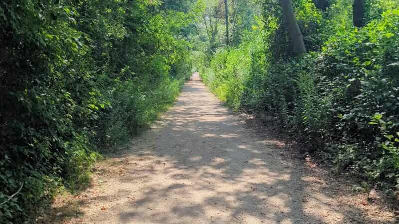 Dog Trail - Massapequa, NY