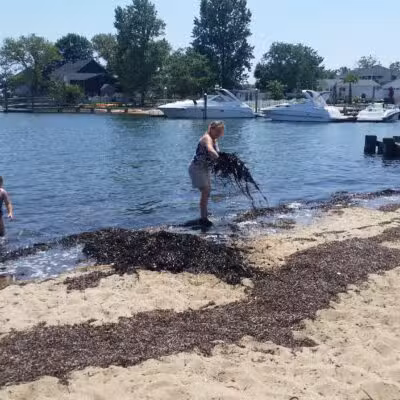 Oyster Bay Parks Department - Massapequa, NY