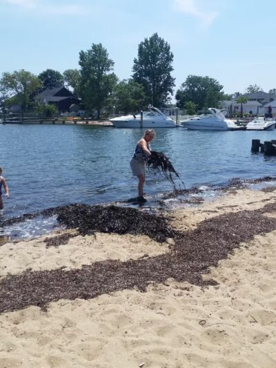 Oyster Bay Parks Department - Massapequa, NY