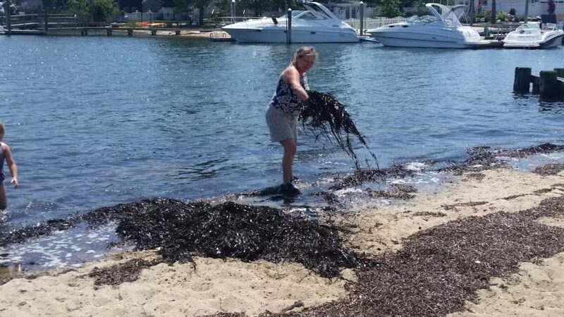 Oyster Bay Parks Department - Massapequa, NY