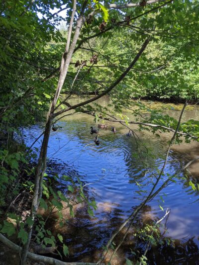 Mansfield Park - Massapequa Park, NY