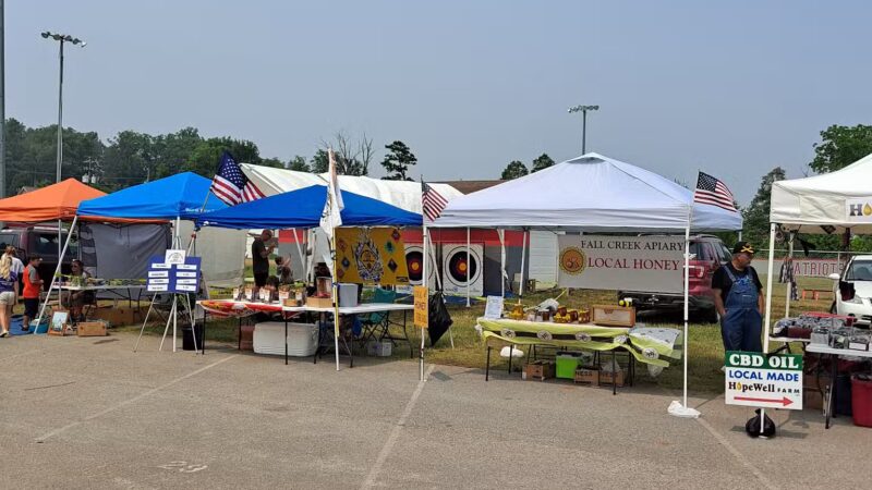 Wilson Park - Maynardville, TN