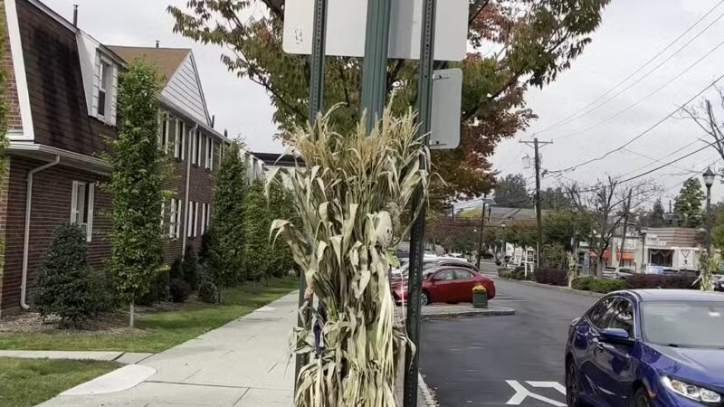Herbert W. Nickerson Memorial Park - Maywood, NJ