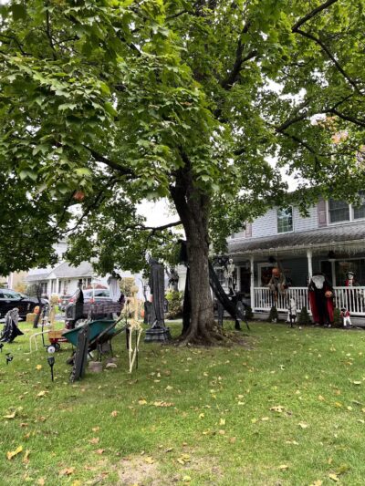 Herbert W. Nickerson Memorial Park - Maywood, NJ
