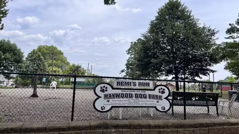 Maywoof Dog Park - Maywood, NJ