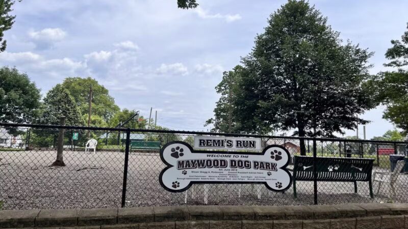 Maywoof Dog Park - Maywood, NJ