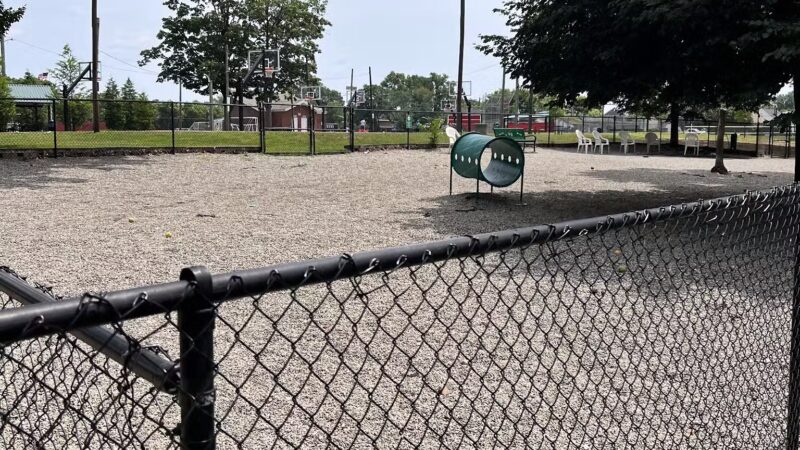 Maywoof Dog Park - Maywood, NJ