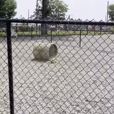 Maywoof Dog Park - Maywood, NJ